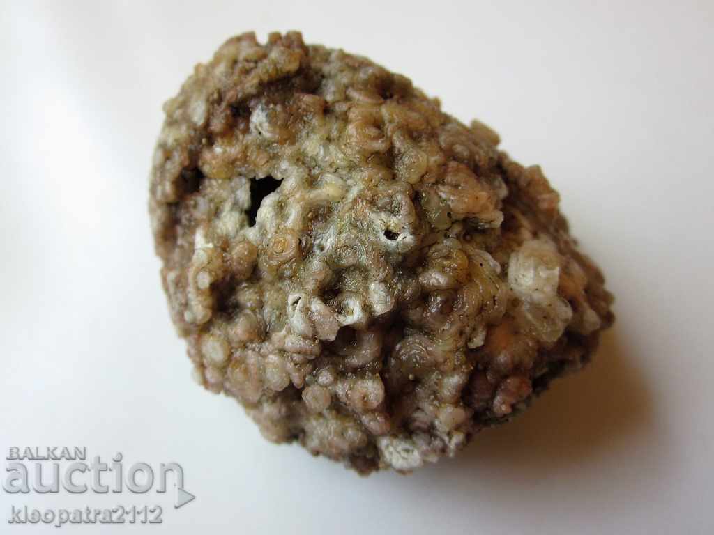 Delivery of FOSSIL - VERY RARE AND BEAUTIFUL. Delivery of FOSSIL - VERY RARE AND BEAUTIFUL.