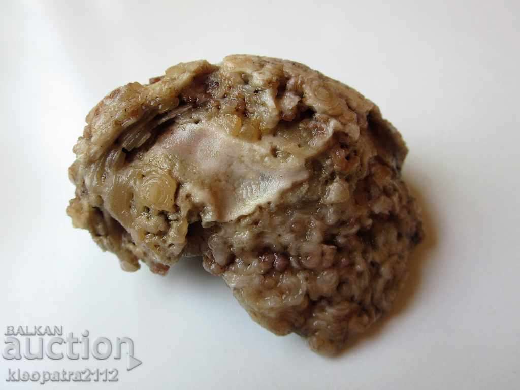 FOSSIL - VERY RARE AND BEAUTIFUL. FOSSIL - VERY RARE AND BEAUTIFUL.