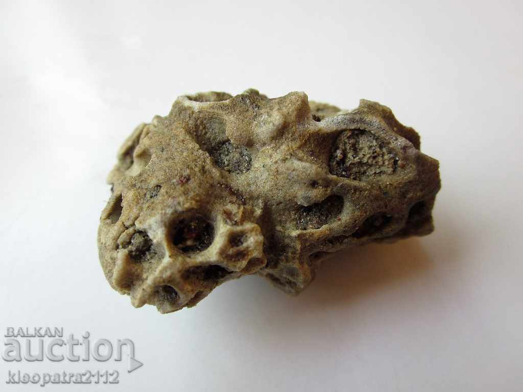 Δημοπρασία ΑΠΟΛΥΘΩΜΕΝΟ ΚΟΡΑΛΙ - ΠΟΛΥ ΣΠΑΝΙΟ ΚΑΙ ΟΜΟΡΦΟ. Δημοπρασία ΑΠΟΛΥΘΩΜΕΝΟ ΚΟΡΑΛΙ - ΠΟΛΥ ΣΠΑΝΙΟ ΚΑΙ ΟΜΟΡΦΟ.