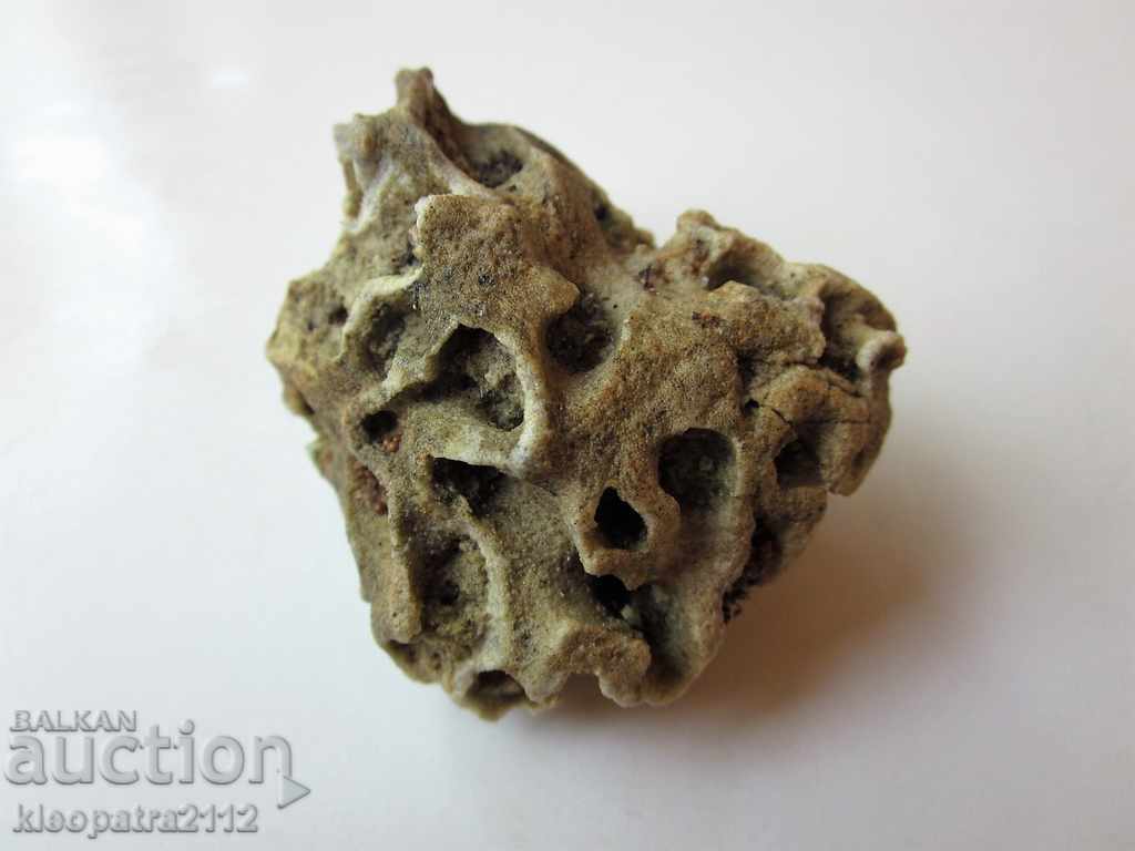 Παράδοση ΑΠΟΛΥΘΩΜΕΝΟ ΚΟΡΑΛΙ - ΠΟΛΥ ΣΠΑΝΙΟ ΚΑΙ ΟΜΟΡΦΟ. Παράδοση ΑΠΟΛΥΘΩΜΕΝΟ ΚΟΡΑΛΙ - ΠΟΛΥ ΣΠΑΝΙΟ ΚΑΙ ΟΜΟΡΦΟ.