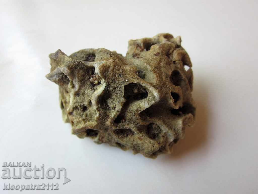 ΑΠΟΛΥΘΩΜΕΝΟ ΚΟΡΑΛΙ - ΠΟΛΥ ΣΠΑΝΙΟ ΚΑΙ ΟΜΟΡΦΟ. - 5 ΑΠΟΛΥΘΩΜΕΝΟ ΚΟΡΑΛΙ - ΠΟΛΥ ΣΠΑΝΙΟ ΚΑΙ ΟΜΟΡΦΟ. - 5