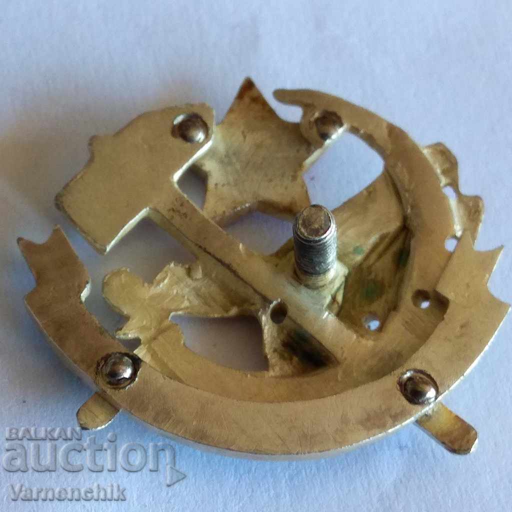 Rare sign RUSSIA AIRCRAFT AVIATION enamel screw - 6 Rare sign RUSSIA AIRCRAFT AVIATION enamel screw - 6