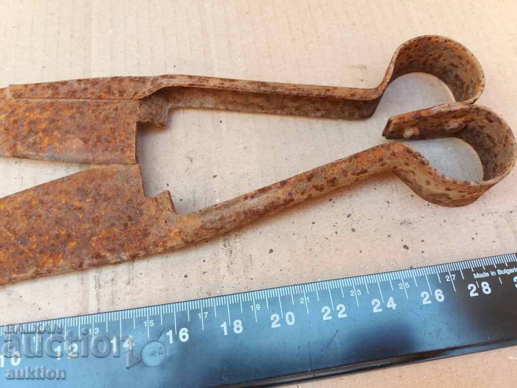 Auction  FORGED SHEEP CUTTING SCISSOR