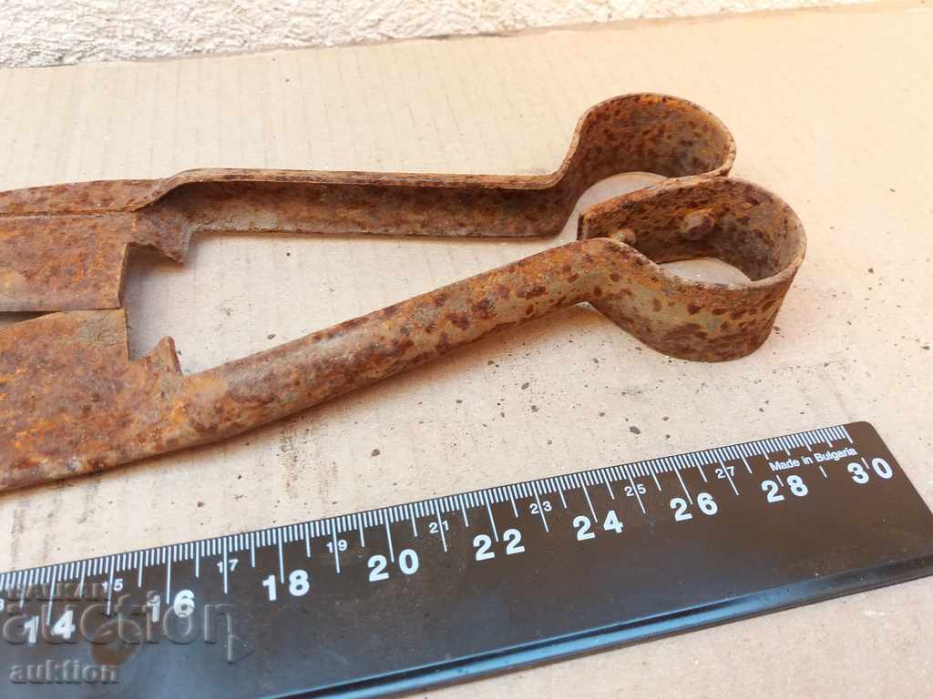 Delivery of FORGED SHEEP CUTTING SCISSOR