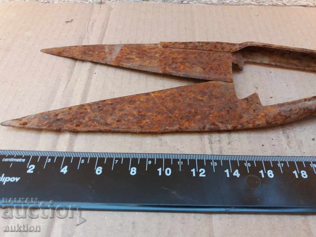 FORGED SHEEP CUTTING SCISSOR - 5