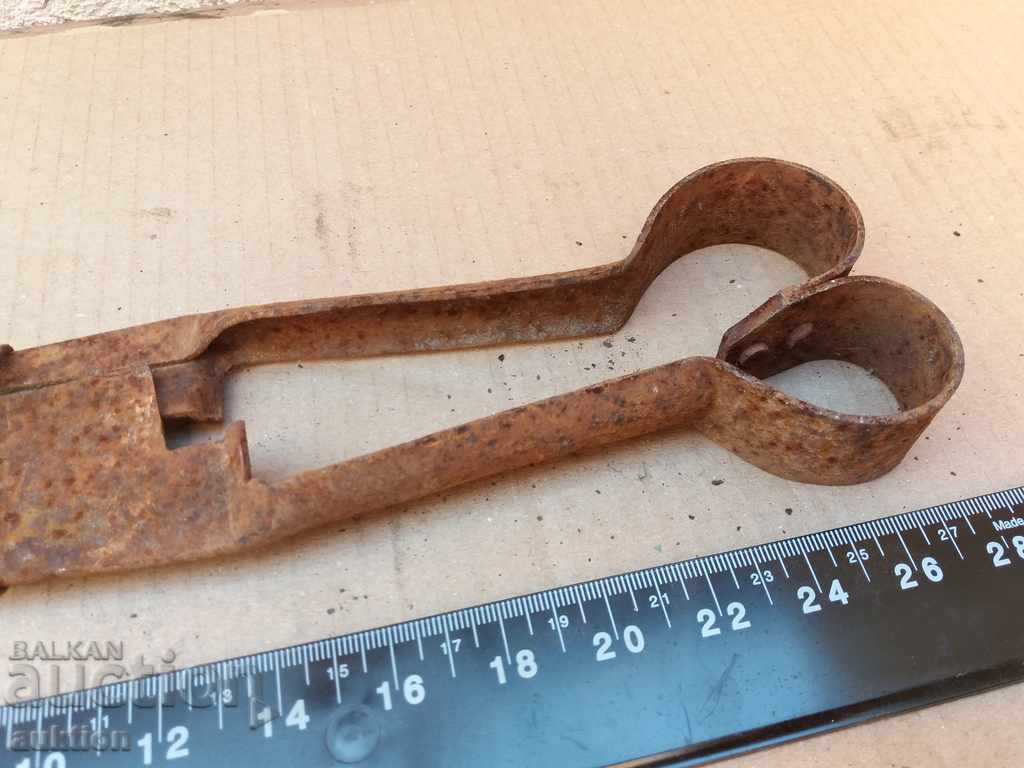 Auction  STAR HORSES HANDLE FOR SHEEPING THE SHEEP