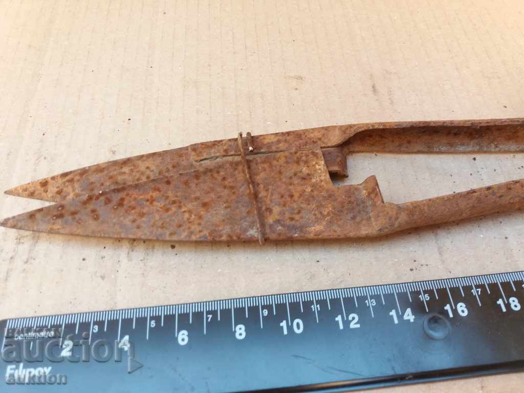 Delivery of STAR HORSES HANDLE FOR SHEEPING THE SHEEP