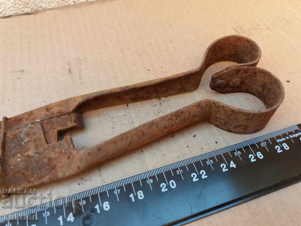 STAR HORSES HANDLE FOR SHEEPING THE SHEEP - 5