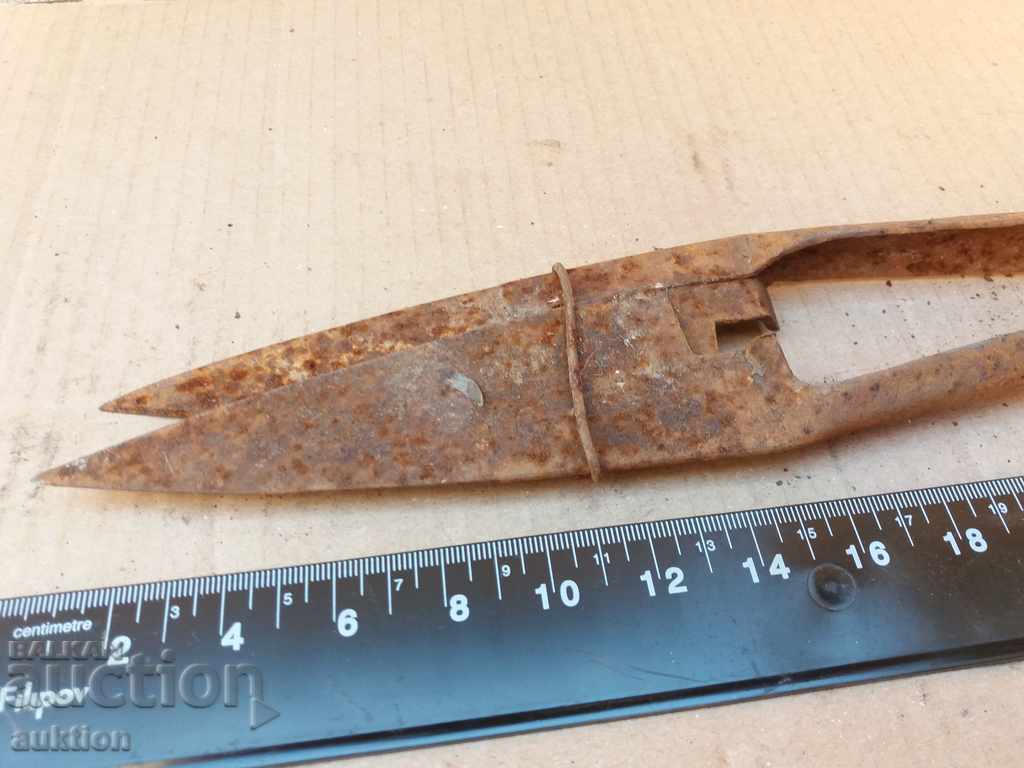 STAR HORSES HANDLE FOR SHEEPING THE SHEEP - 6