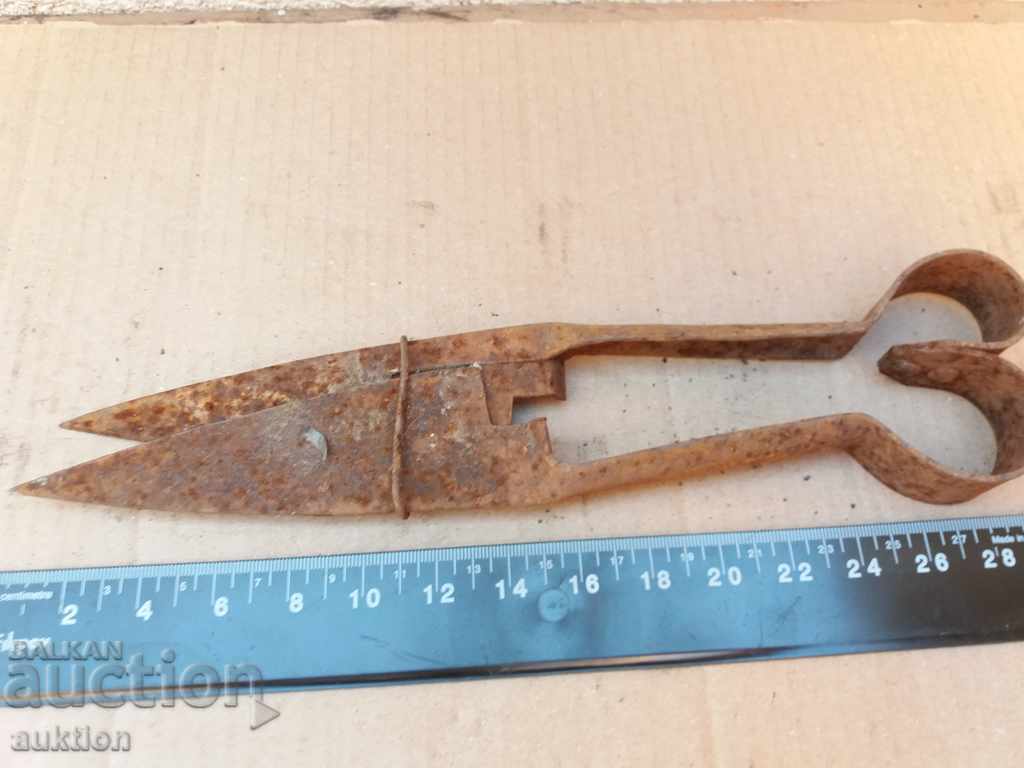 STAR HORSES HANDLE FOR SHEEPING THE SHEEP - 7