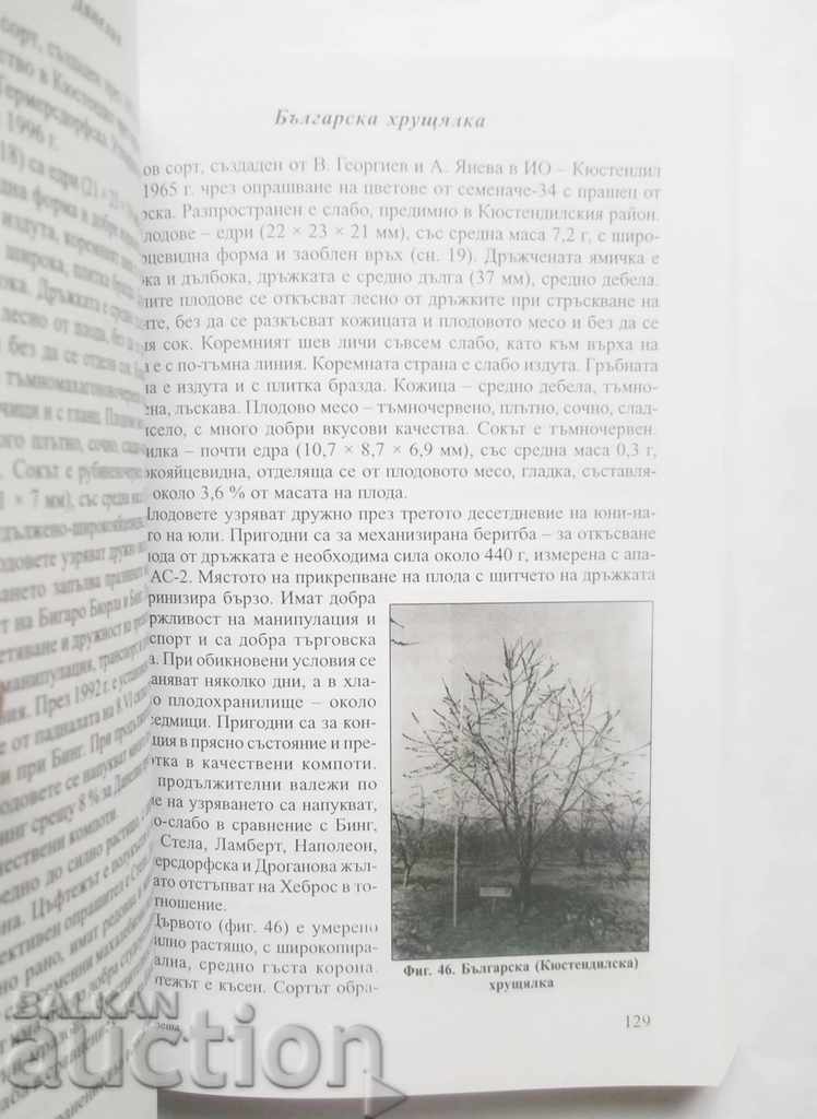 Cherry - Vasil Georgiev, Maria Borovinova, Anna Koleva 2007 with price 27.00 BGN | € 13.80 Cherry - Vasil Georgiev, Maria Borovinova, Anna Koleva 2007 with price 27.00 BGN | € 13.80