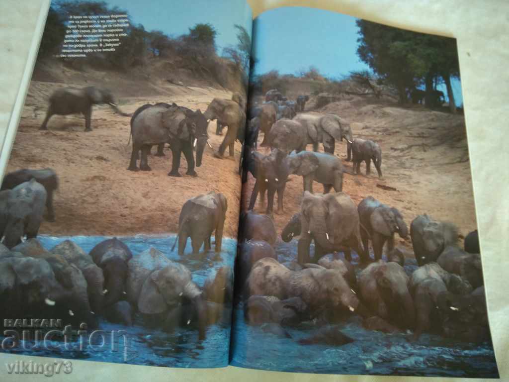 National Geographic Magazine with price 1.90 BGN | € 0.97 National Geographic Magazine with price 1.90 BGN | € 0.97