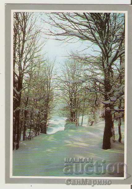 Card Bulgaria Winter landscape 20 *