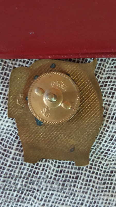 Delivery of Lot of badges Excellent of the Ministry of Interior Delivery of Lot of badges Excellent of the Ministry of Interior