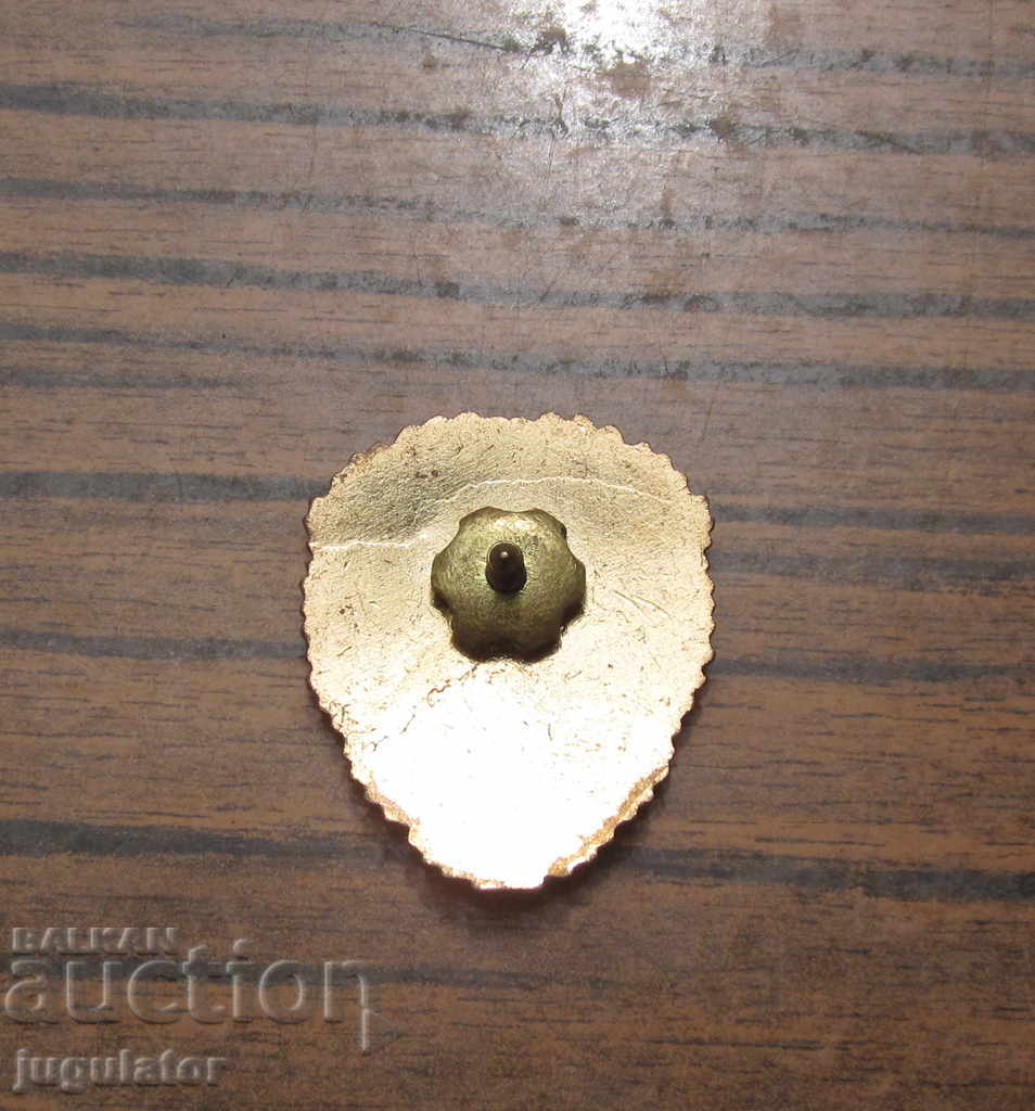 large Romanian military badge military enamel badge with gilding - 6