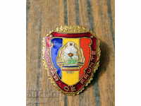 mare ecuson militar românesc emblemă militară smalț cu auriu