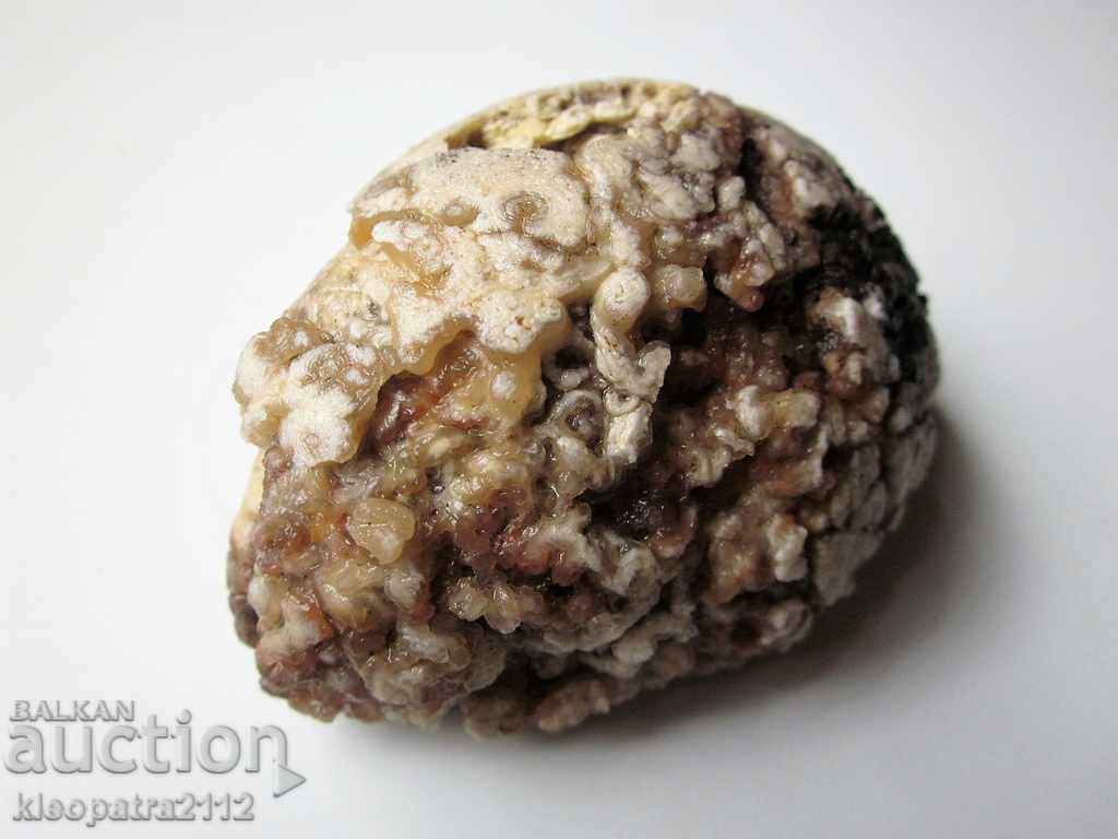 Livrarea FOSIL - FOARTE RAR ȘI BUN.