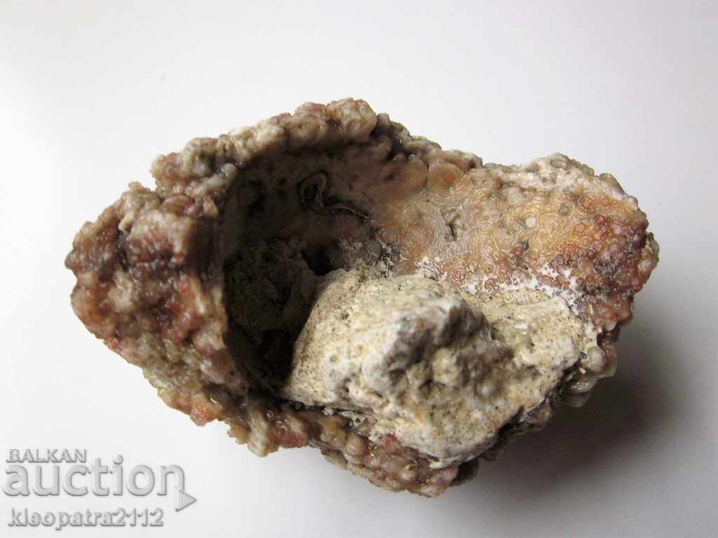 FOSIL - FOARTE RAR ȘI BUN. - 5