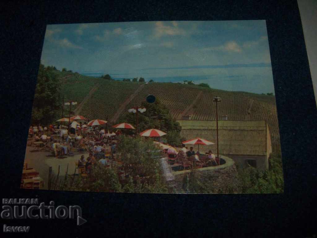 4 collector's phono cards - gramophone records with price 80.00 BGN | € 40.90 4 collector's phono cards - gramophone records with price 80.00 BGN | € 40.90