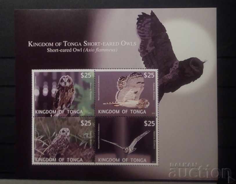 Regatul Tonga 2012 Faună / Animale / Păsări / Bufnițe Bloc 150 € MNH