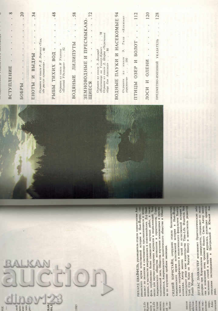 Auction BEAVERS AND OTHER INHABITANTS OF FRESHWATER / RUSSIAN / Auction BEAVERS AND OTHER INHABITANTS OF FRESHWATER / RUSSIAN /