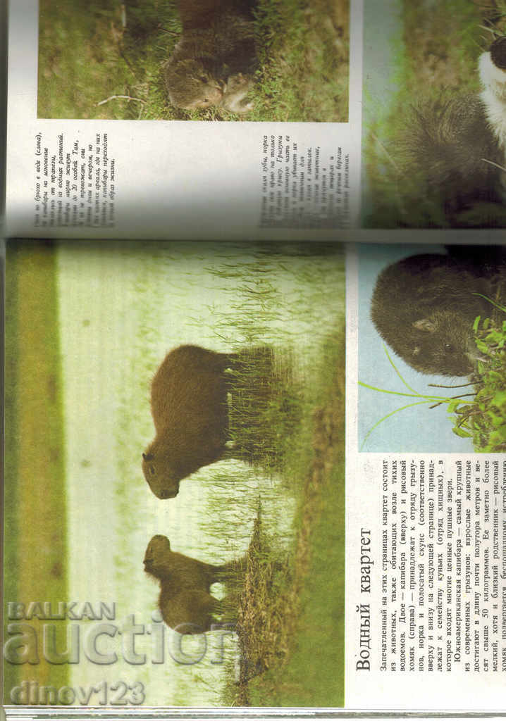 Delivery of BEAVERS AND OTHER INHABITANTS OF FRESHWATER / RUSSIAN / Delivery of BEAVERS AND OTHER INHABITANTS OF FRESHWATER / RUSSIAN /