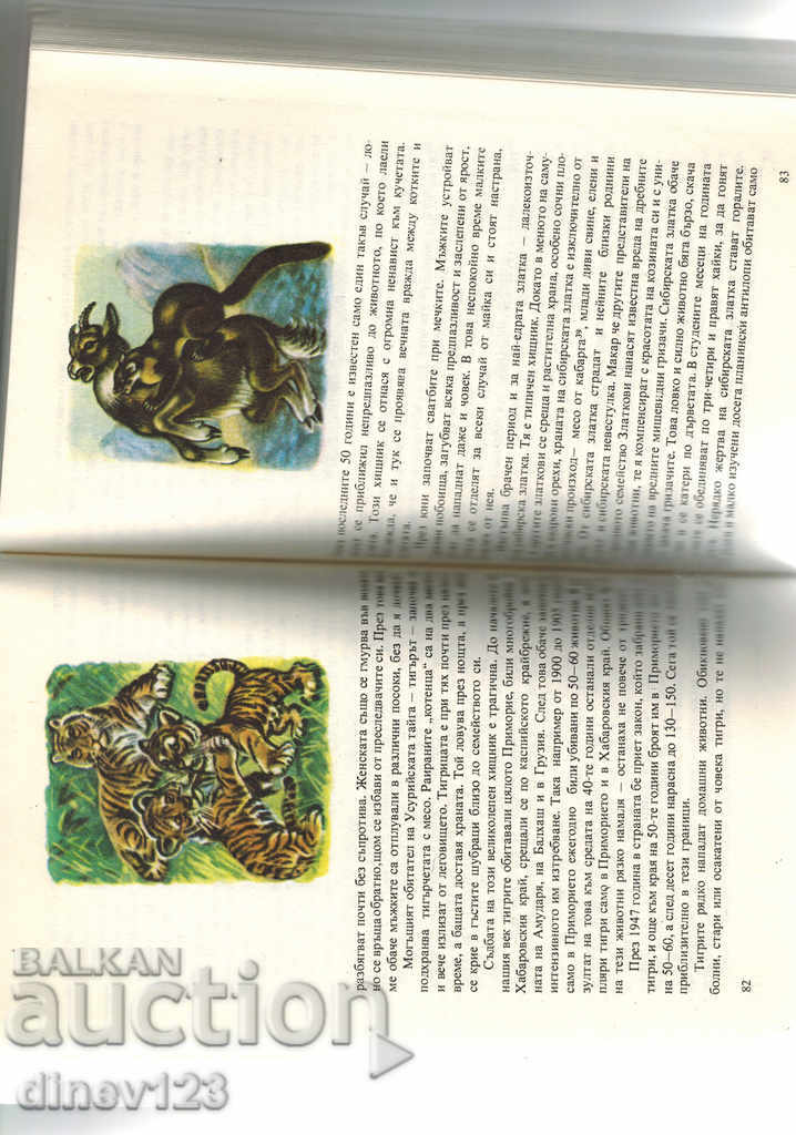 Auction  KALEIDOSCOPE OF NATURE - A. KALETSKI