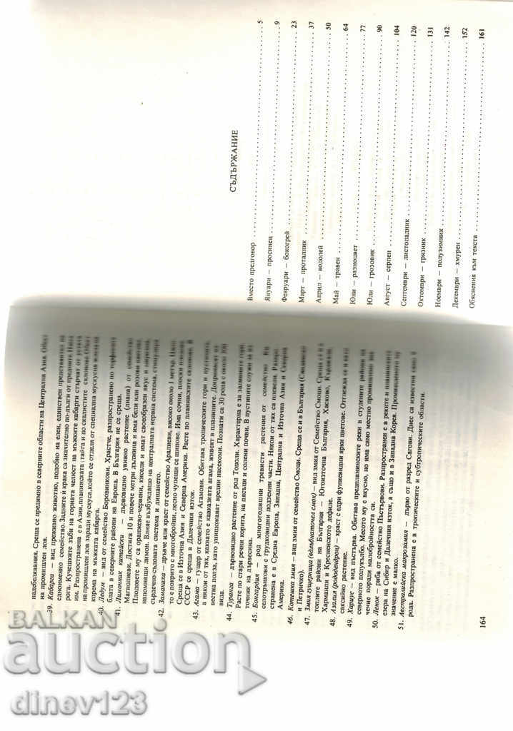 Delivery of KALEIDOSCOPE OF NATURE - A. KALETSKI