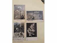 Post cards BGMF Lot 014