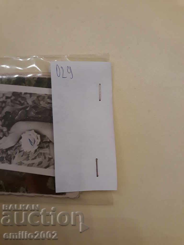 Auction Post cards BGF Lottery 029 Auction Post cards BGF Lottery 029