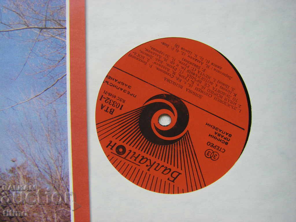 Auction VTA 10332 - Donika Venkova Auction VTA 10332 - Donika Venkova