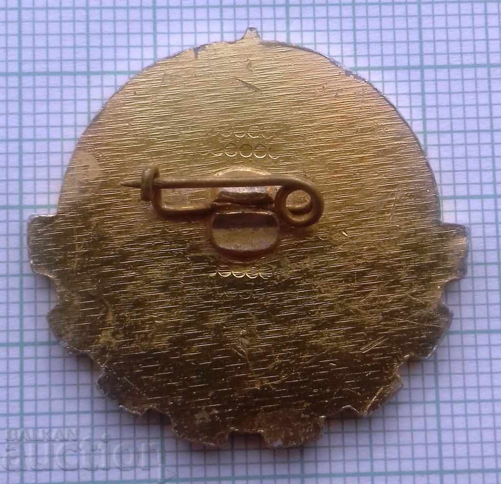 Delivery of 8328 Badges - DSO Water Management - For Long Service Delivery of 8328 Badges - DSO Water Management - For Long Service