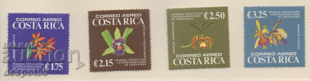 1975. Costa Rica. Expoziție de orhidee în America Centrală.