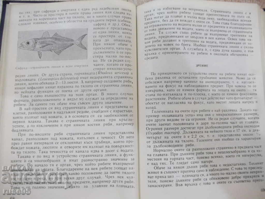 Auction Book "Fun ichthyology - Peter Vladev" - 168 p. Auction Book "Fun ichthyology - Peter Vladev" - 168 p.