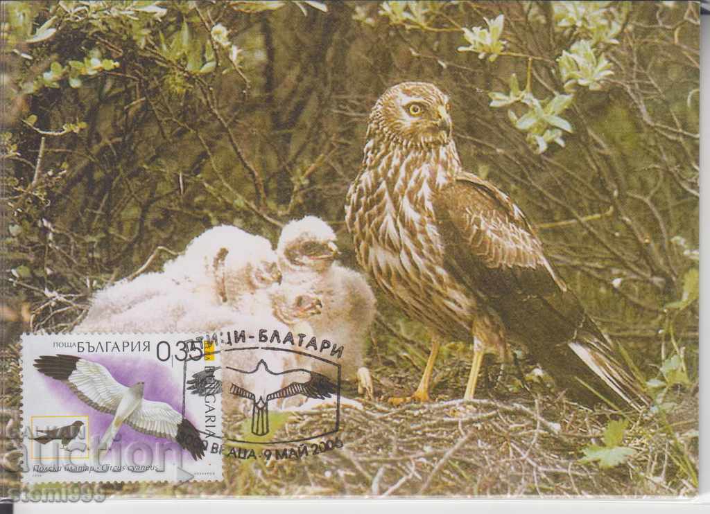 Maximum postcard FDC Birds