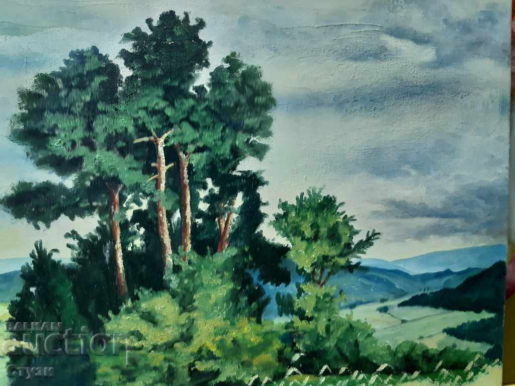 Tablou de Gelo, peisaj polonez, ulei, 50x60 cm - 6