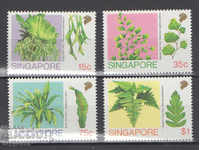1990. Singapore. Ferns.