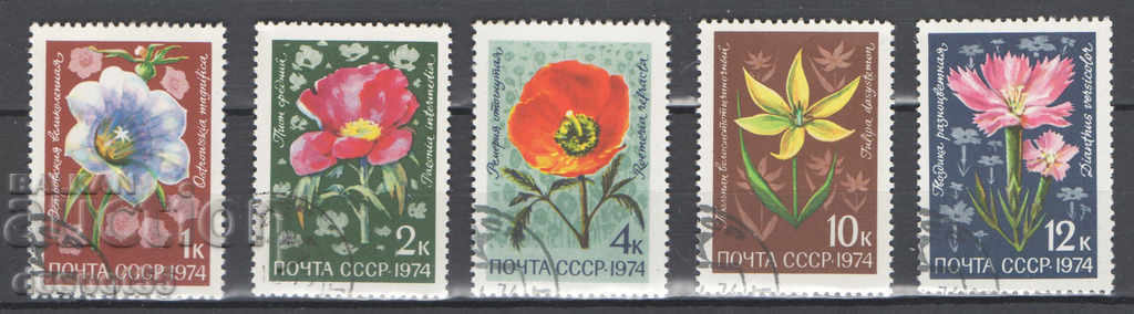 1974. ΕΣΣΔ. Λουλούδια.