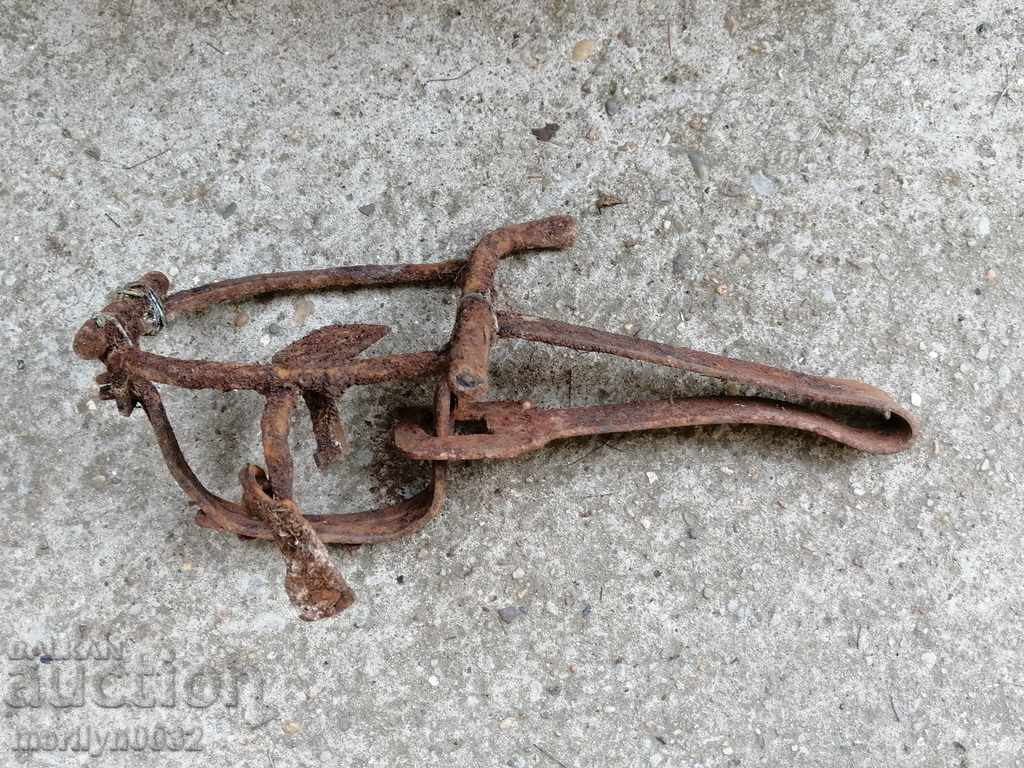 Livrarea Capcană forjată manual cu țepi din fier forjat Livrarea Capcană forjată manual cu țepi din fier forjat