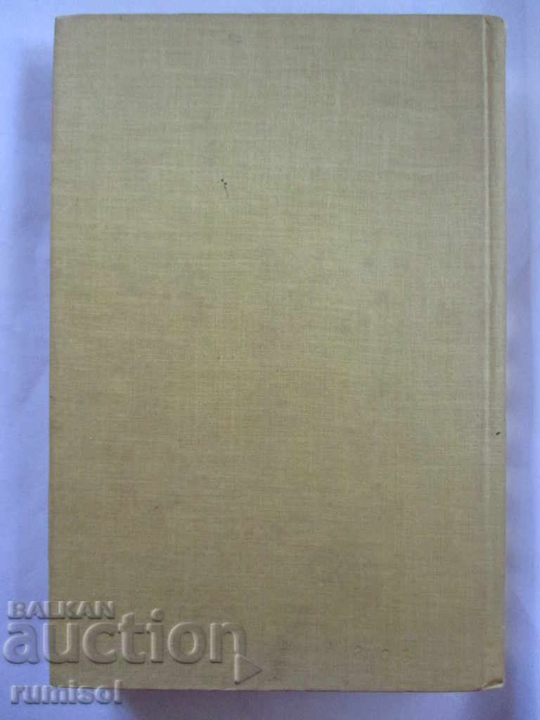 Auction THE BIRTH OF SHOYMARU Auction THE BIRTH OF SHOYMARU