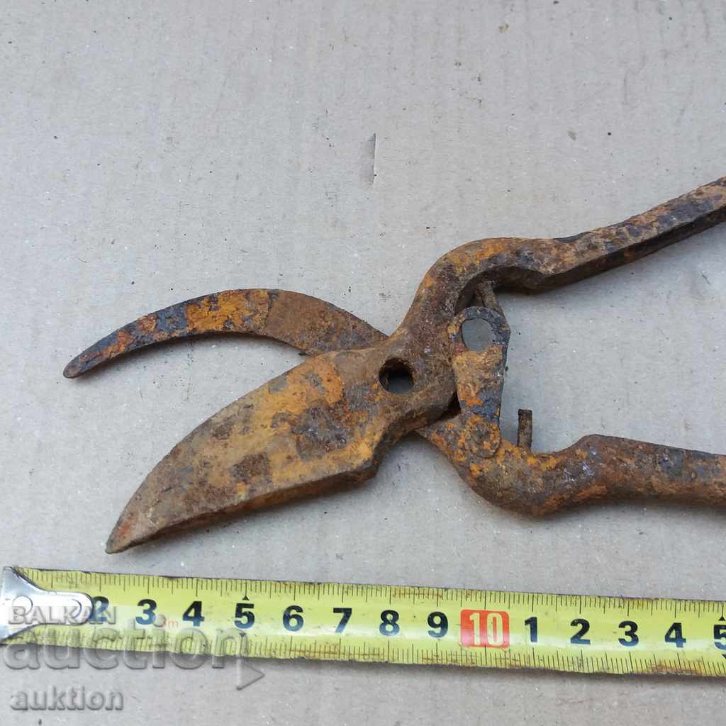 Delivery of STARA VOZARNA NAGICA Delivery of STARA VOZARNA NAGICA