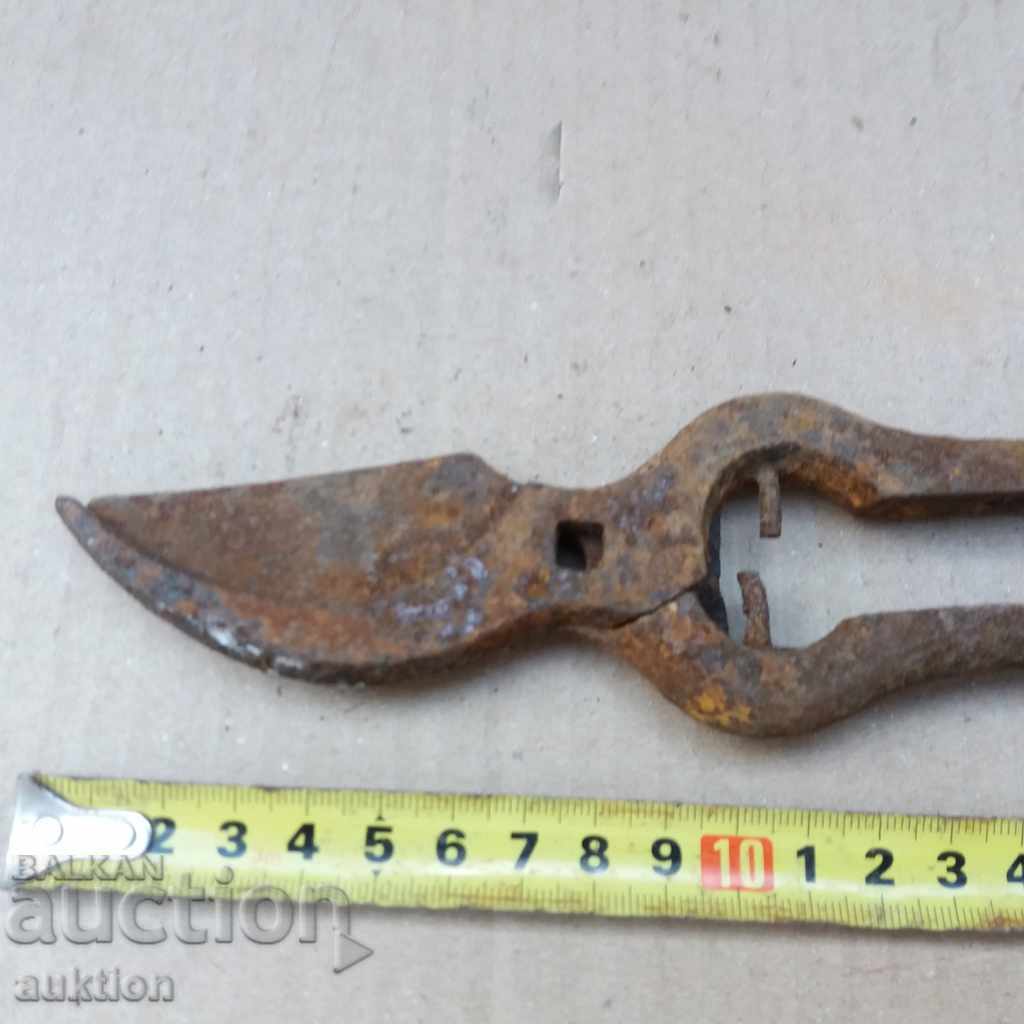 STARA VOZARNA NAGICA - 6 STARA VOZARNA NAGICA - 6