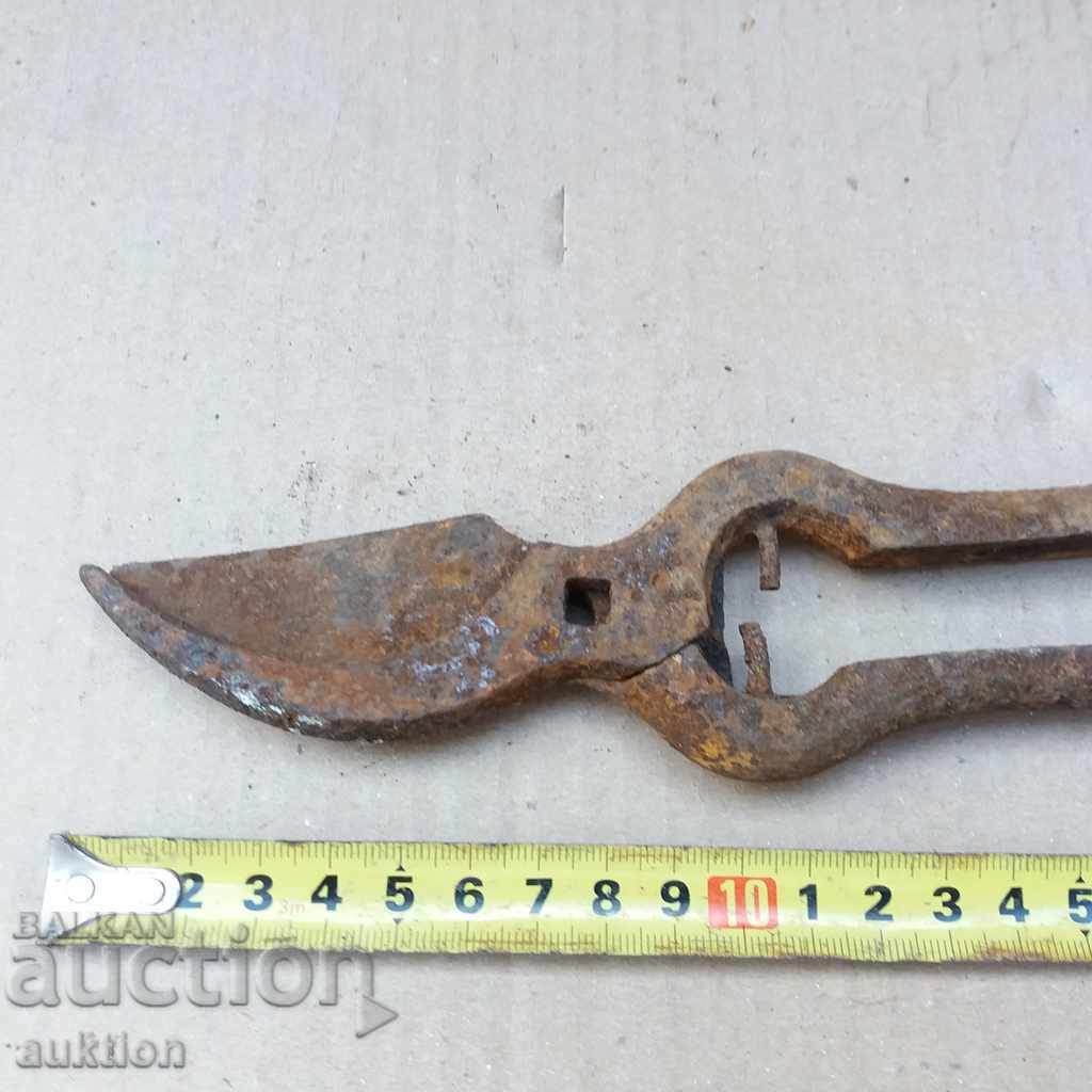 STARA VOZARNA NAGICA - 7 STARA VOZARNA NAGICA - 7