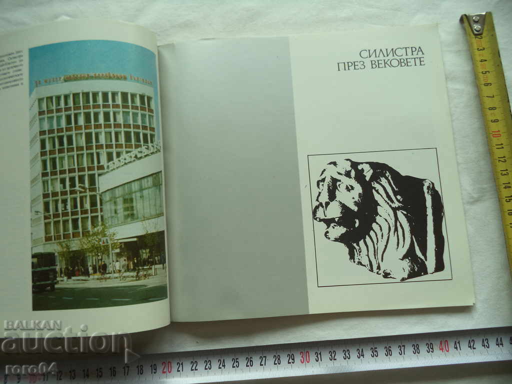 Auction SILISTRA - GUIDE Auction SILISTRA - GUIDE