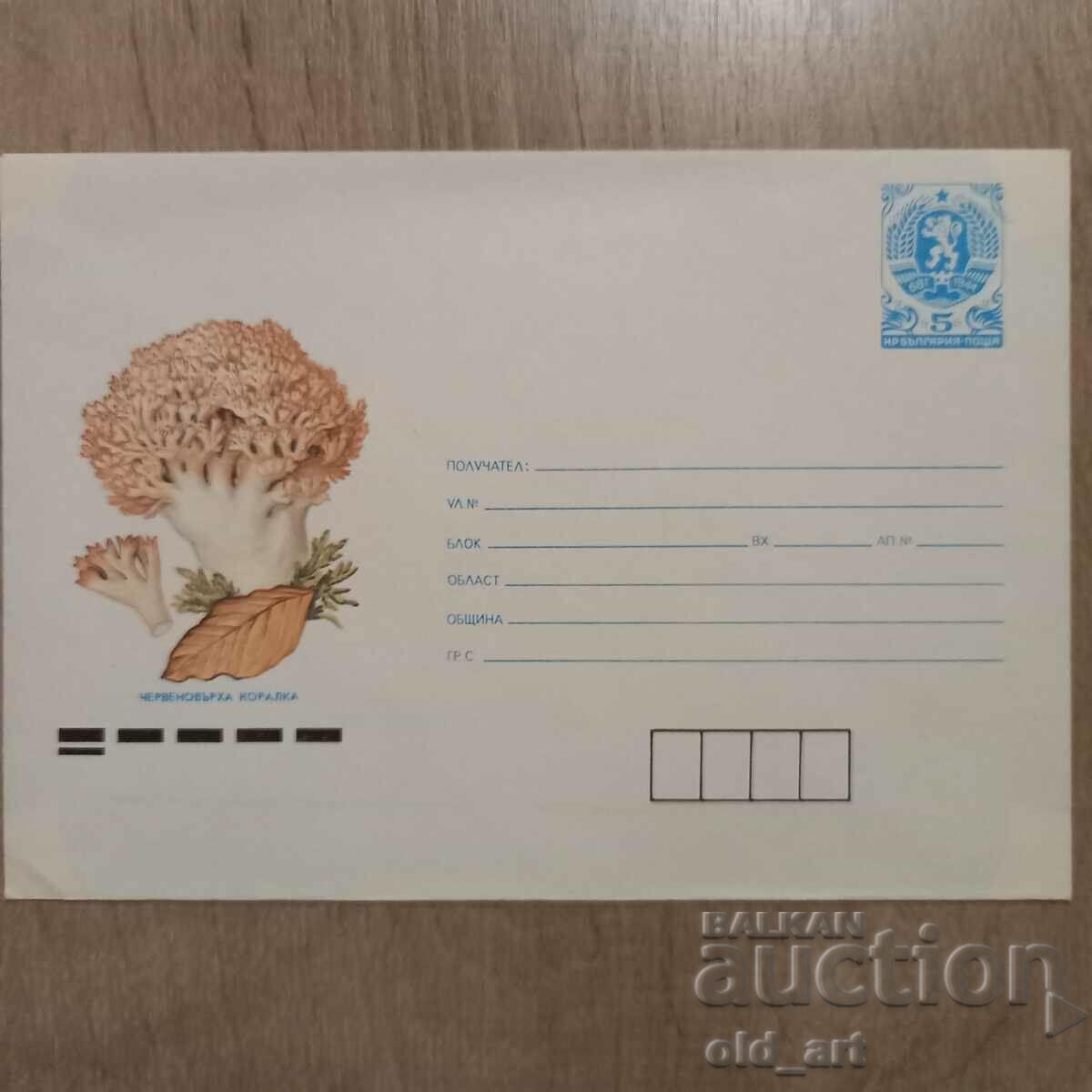 Mailing envelope - Red-top coral