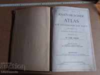 Old anatomical atlas