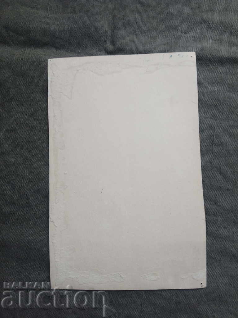 Painting 2134 with price 320.00 BGN | € 163.61 Painting 2134 with price 320.00 BGN | € 163.61