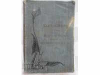 1906г. Арт Нуво,  Книга за изкуство и архитектура