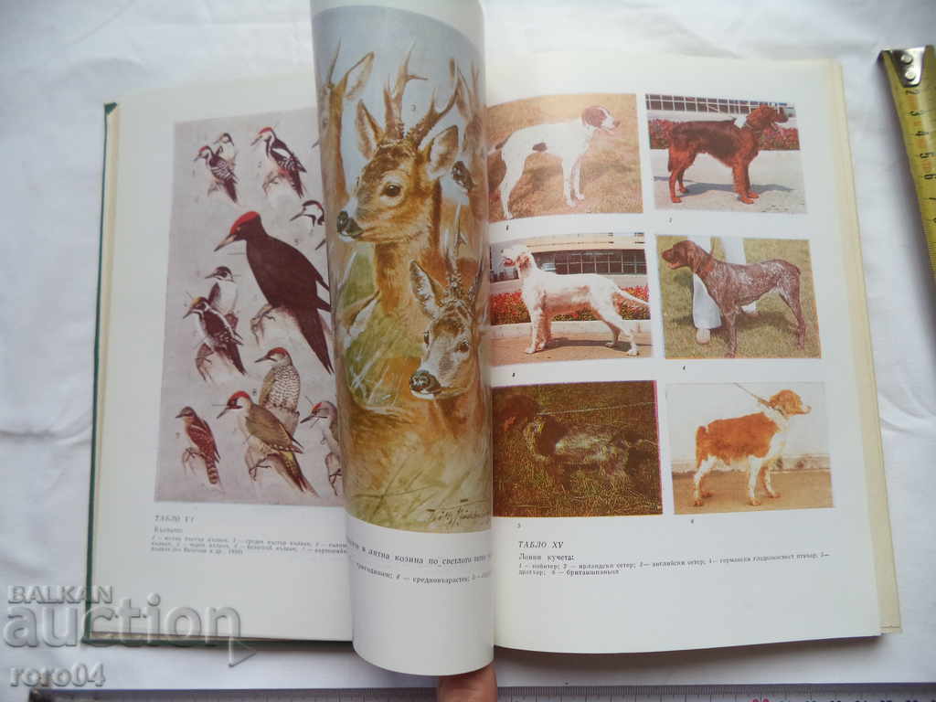 Delivery of HUNTING FARM - NIKOLA BOTEV Delivery of HUNTING FARM - NIKOLA BOTEV