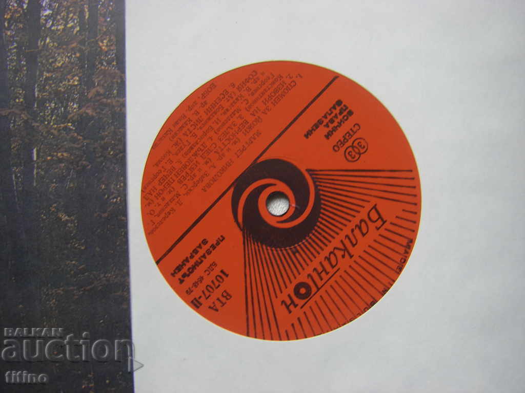 Auction WTA 10707 - Margret Nikolova - Autumn Auction WTA 10707 - Margret Nikolova - Autumn